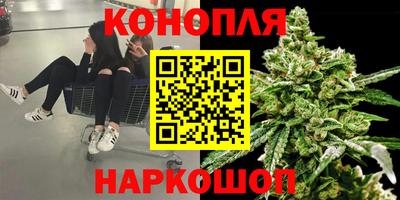 ПСИЛОЦИБИНОВЫЕ ГРИБЫ Берёзовский