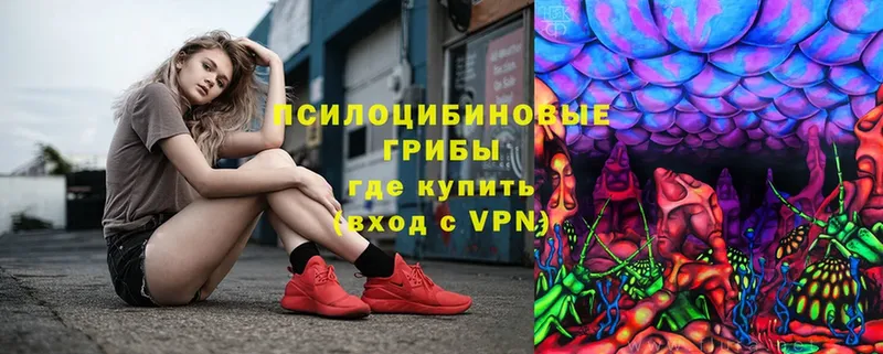 Псилоцибиновые грибы Magic Shrooms  Городец 