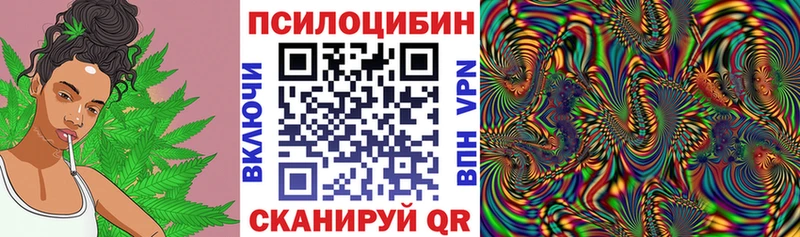 Псилоцибиновые грибы Psilocybe  купить наркоту  Городец 