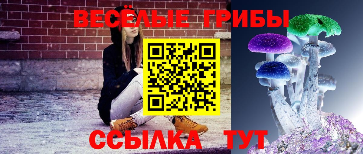 Псилоцибиновые грибы Magic Shrooms  Вход с VPN  Городец 