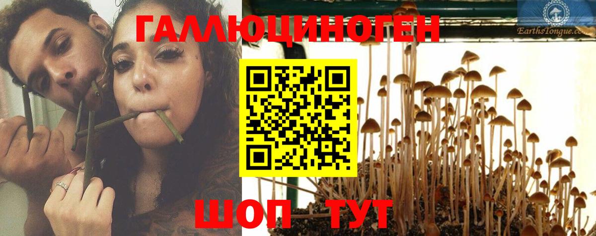 Псилоцибиновые грибы MAGIC MUSHROOMS Городец