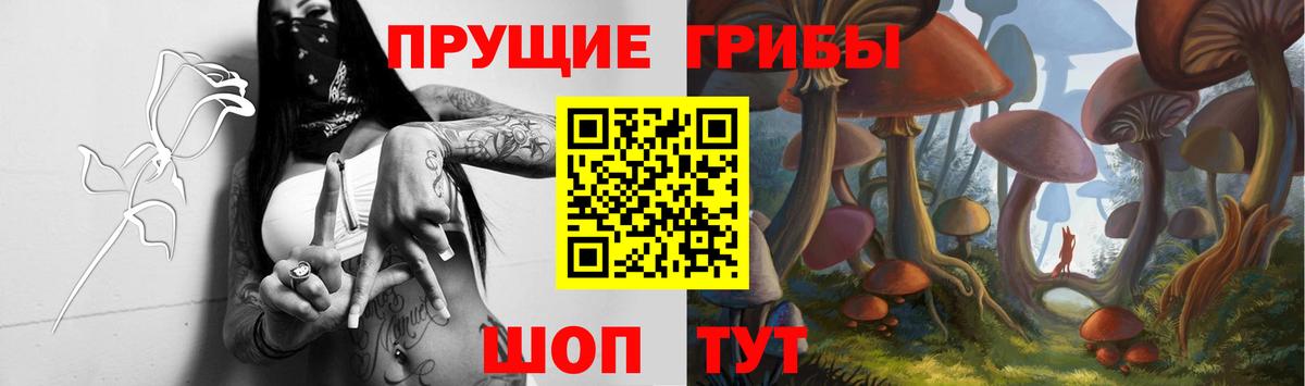 Псилоцибиновые грибы Psilocybe Городец